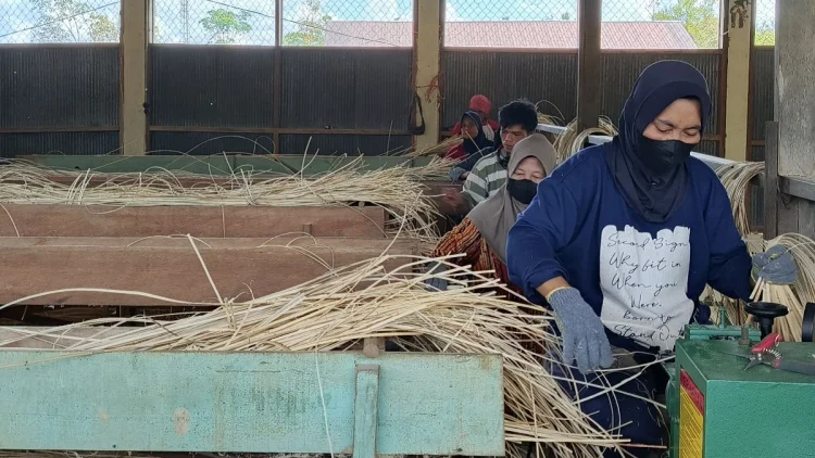 CORE Nilai Hilirisasi Perlu Selaras dengan Keterampilan Tenaga Kerja