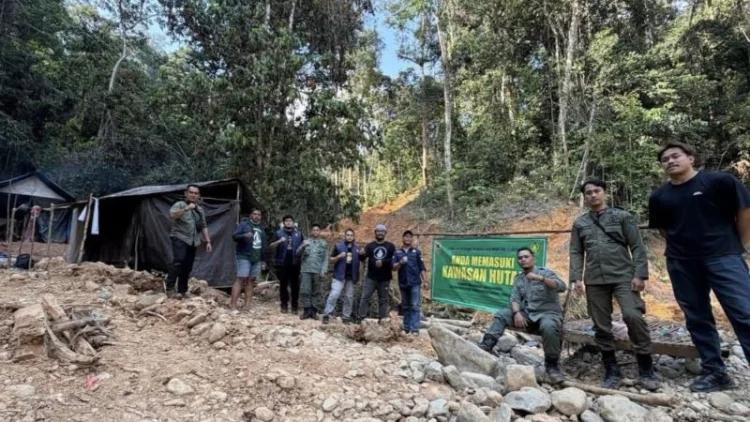 Dishut Kalsel Tertibkan Tambang Emas Ilegal di Kawasan Hutan Tabalong
