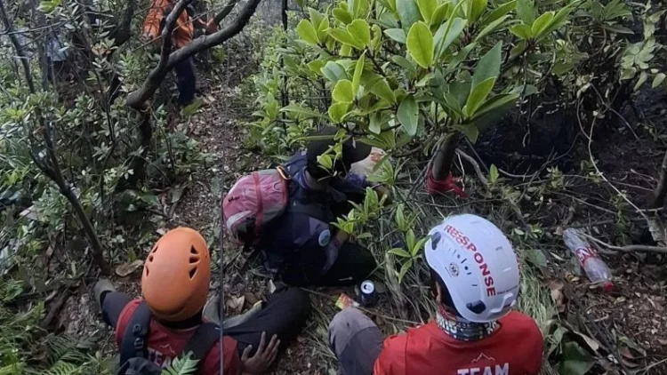 Kebakaran Hutan di Gunung Gede Pangrango Capai 5,8 Hektare