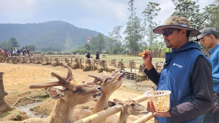 Ranca Upas Diserbu Wisatawan Jelang HUT ke-81 RI, Camping Menjadi Favorit