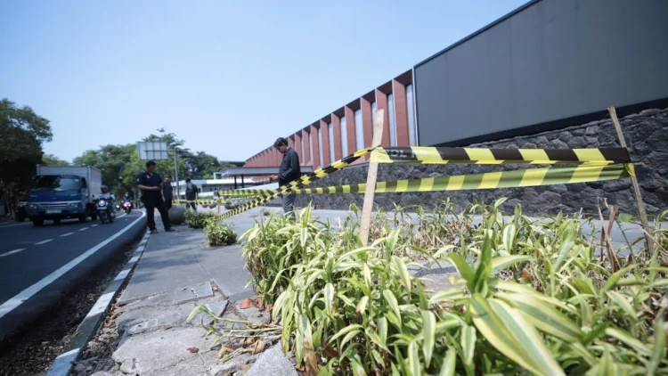 Pemkot Buru Pelaku: Menguak Misteri Pohon Dikuliti