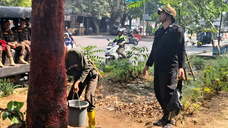 DLH Bandung Cari Pelaku yang Kuliti Pohon di Jalan Pahlawan, Motif Belum Diketahui