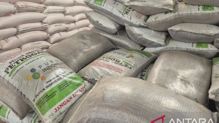 Harga Pupuk Turun, Beban Biaya Produksi Berkurang