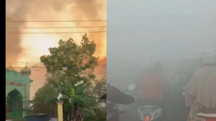 Viral Kebakaran Hutan di Kalimantan Memicu Kabut Asap Pekat dan Krisis Air Bersih
