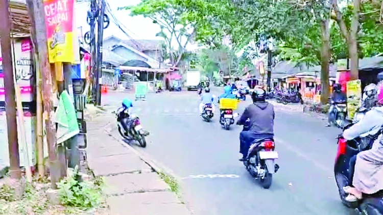 Proyek Drainase Ancam Pepohonan
