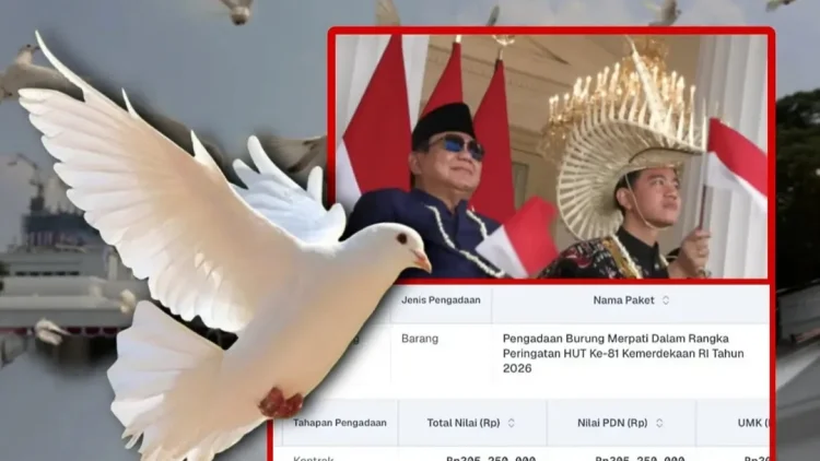 ICW Soroti Pengadaan Burung Merpati HUT RI Rp305 Juta, Warganet: Spek Max Pro?