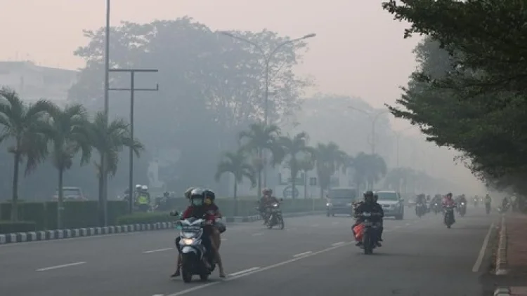 21 Penerbangan di Bandara Supardio Terdampak Asap Karhutla