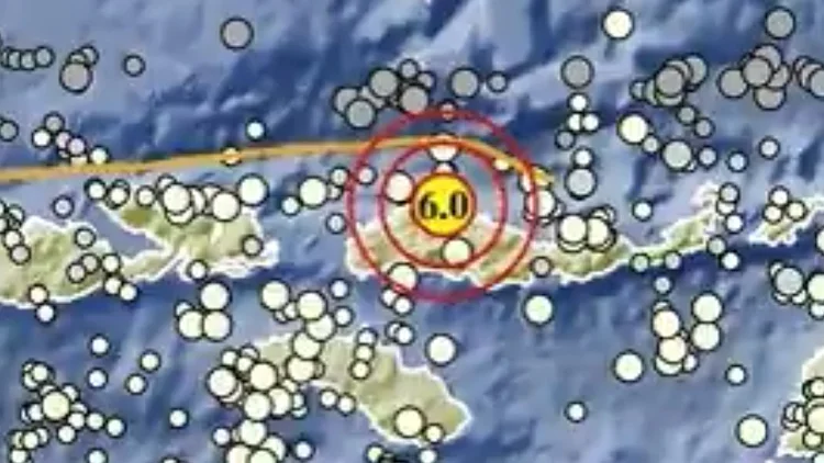 Terjadi 3.055 Gempa, BMKG Perkirakan Gempa Susulan di NTT Meluas hingga 4 Minggu