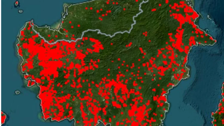 38.310 Hektar Hutan di Kalimantan Barat Kebakaran hingga Bulan Agustus Ini