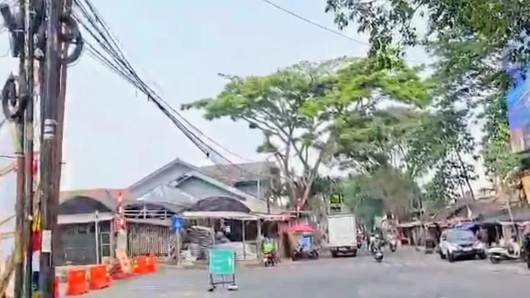 Soal 32 Pohon Terdampak Drainase Cihanjuang, DLH Cimahi Bakal Hitung Nilai Karbon