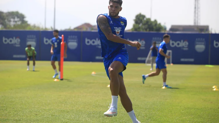Berguinho is Back