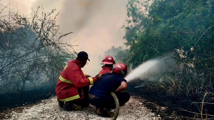 Hutan Membara 72 Jadi Tersangka