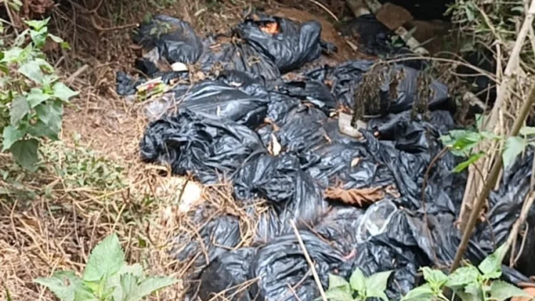 Sampah Diduga Sisa MBG Dibuang ke Sungai di Bandung, Warga Keluhkan Bau Busuk