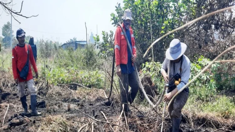 Kemenhut Fokus Basahi Lahan Gambut Terbakar di Ring 1 Bandara Syamsudin Noor