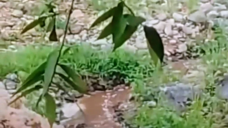 Air Sungai Cidadap Berubah Hitam, DLH KBB Temukan Aliran Limbah Pabrik Tepung Tapioka