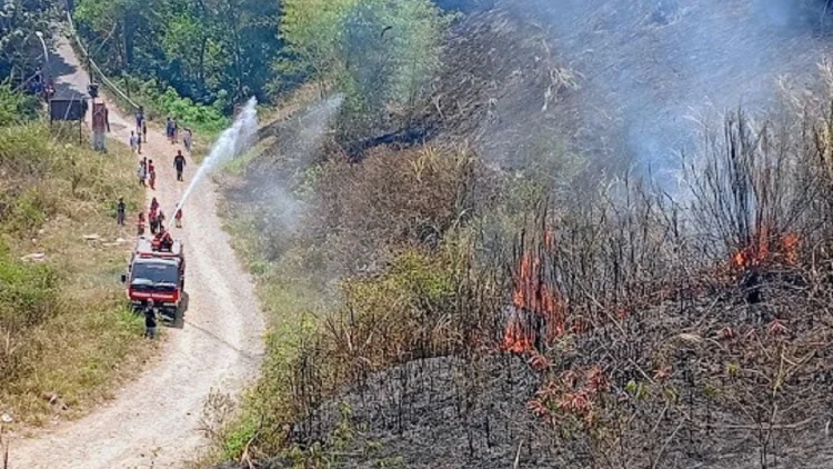 Kembali Terjadi, Kebakaran Lahan 1 Hektare di Cimahi Dipicu Puntung Rokok