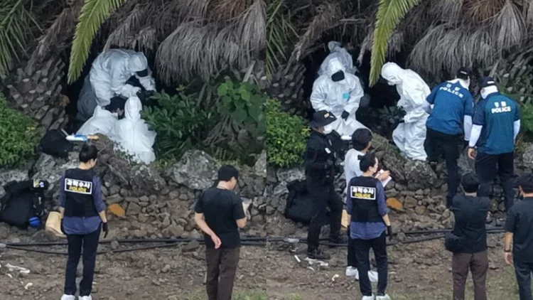 Apa yang Sebenarnya Terjadi di Pulau Jeju saat 4 Orang Hilang Semua Ditemukan Tewas??