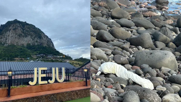 Warganet Ceritakan Pengalaman Liburan di Pulau Jeju, Banyak Hal Mencurigakan Terjadi?