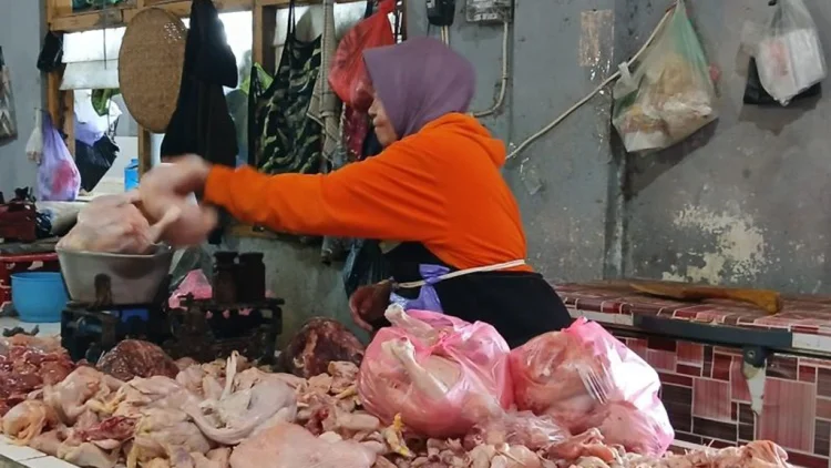 Harga Daging Ayam di Cirebon Tembus Rp40 Rib
