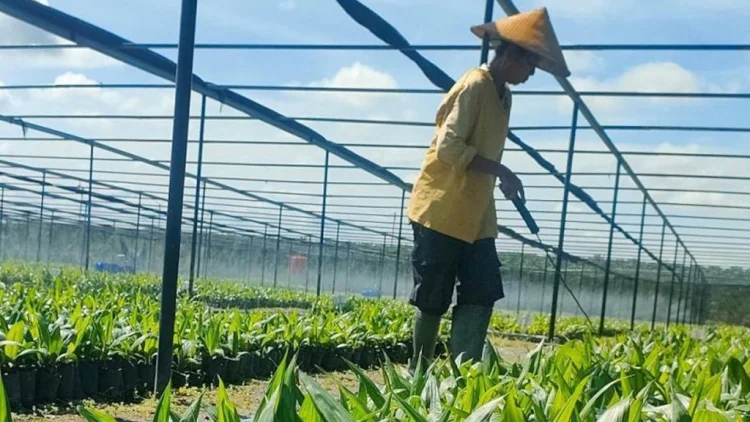 Industri Karawang Tunggu Kepastian Perizinan
