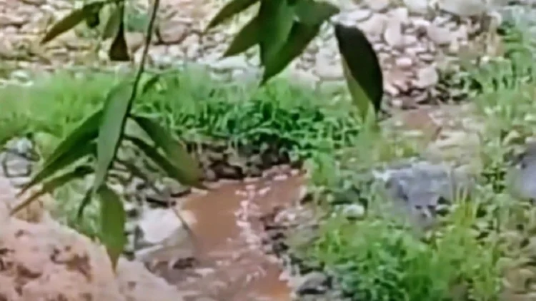 Cegah Pencemaran Sungai Cidadap, DLH KBB Beri Pembinaan Pabrik Tapioka 