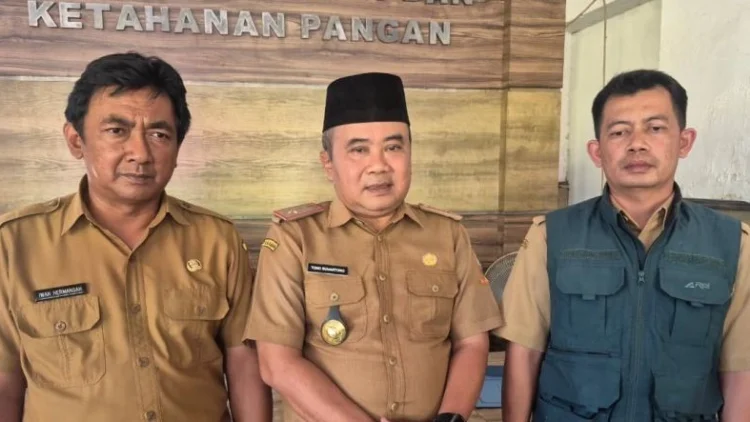 Jaga Produksi Padi, Pemkab Sumedang Optimalkan Irigasi Tersier