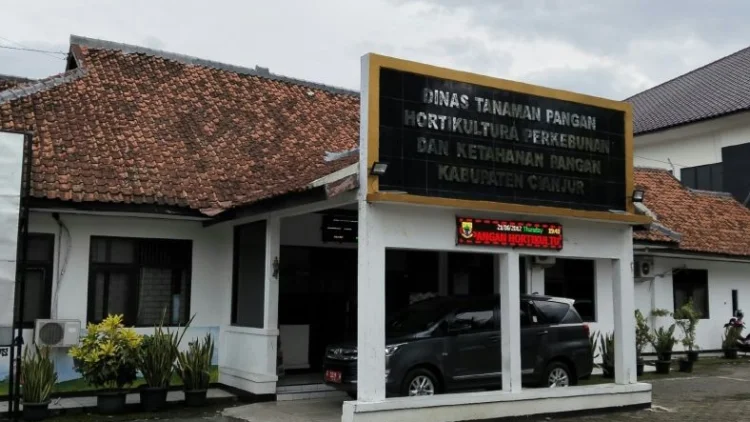 DTPHP Cianjur Siapkan Asuransi Bagi Petani yang Alami Gagal Panen Akibat Kemarau