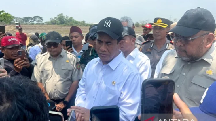 Mentan Amran Sidak Sawah Karawang, Pompanisasi Didorong untuk 3 Kali Tanam