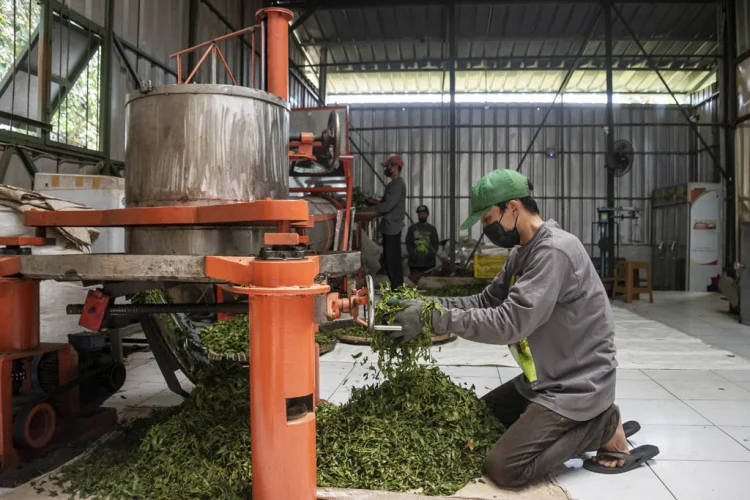 Tanda Tanya Serapan Kerja