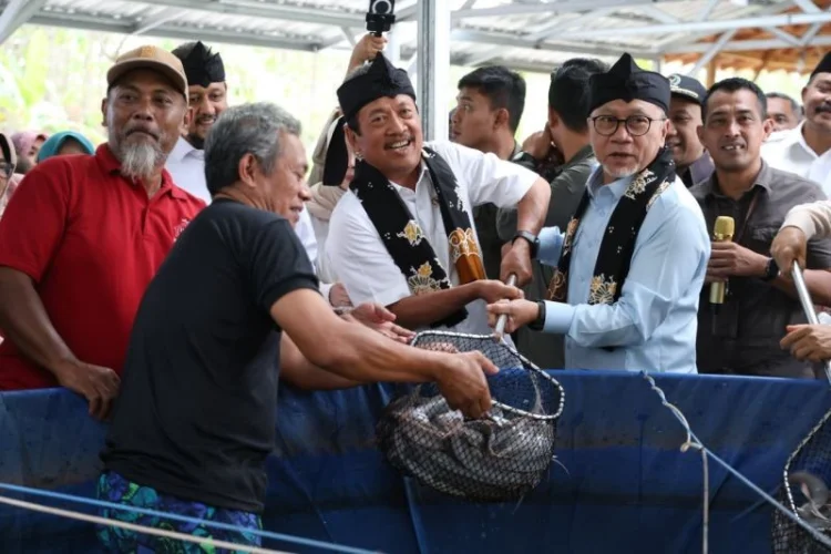 Sinergi KDMP dan MBG Beri Kepastian Pasar Budi Daya Desa