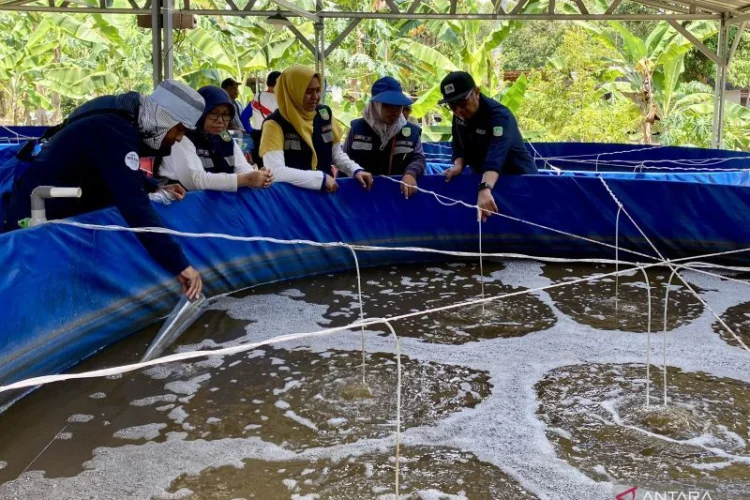 Dukung Program Makan Bergizi Gratis, KKP Kembangkan Budi Daya Ikan Tematik