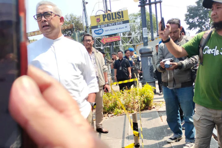 Pohon Ditebang  Berbuntut Panjang