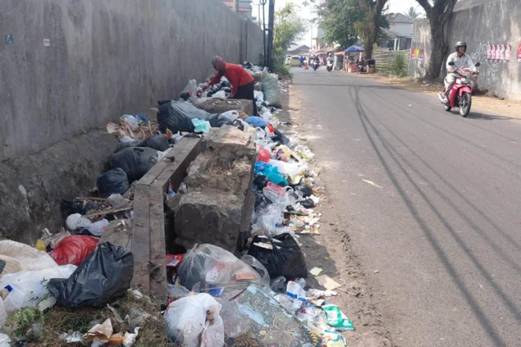 Ketika Aktivitas Sekolah Terganggu Bau Sampah