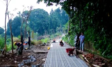Dedie: Leuweung Batutulis Harus Jadi Hutan Kota, Bukan Taman Kota