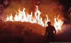 Sumedang Jadi Daerah Terbanyak Karhutla di Jawa Barat Tahun Ini