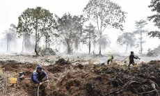Jalur Gunung Ditutup Sementara : Redam Api Tanpa Pendaki