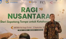 Inovasi Ragi Tempe Bidik Pasar Ekspor