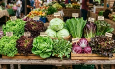 5 Jenis Selada yang Sehat dan Bergizi, Bagus untuk Camilan hingga Dibuat Salad