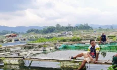 Kemarau Tekan Produksi Perikanan KBB, Hasil Budidaya Turun hingga 16,8 Persen
