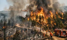 Presiden Aljazair akan Berlakukan Hukuman Mati bagi Pelaku Pembakaran Hutan