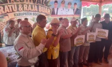 Raih Predikat Raja dan Ratu Buah Bogor, Harga Durian dan Alpukat Terdongkrak