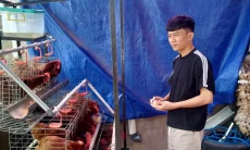 Menyimpan Asa dari Sebuah Kandang Kecil