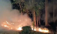 Lahan di Tol Purbaleunyi KM 125 Terbakar, Damkar Belum Temukan Penyebab Pastinya