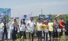 500 Mangrove Ditanam di Pesisir Cirebon, Pemuda Dorong Gerakan Jabar Asri