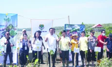 Mangrove Menjaga Pesisir Cirebon