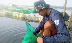 Kemarau Panjang Tekan Produksi Perikanan Bandung Barat Hingga 902 Ton