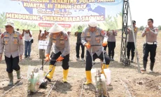 Polda Jabar Sulap 165,53 Hektare Lahan Sawah Jadi Pertanian Jagung Saat Kemarau