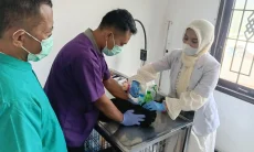 Peringati Hari Rabies Sedunia, Dispernakan KBB Gelar Vaksinasi Gratis 2.000 Dosis