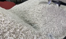 BPS Catat Harga Beras Naik pada Minggu Ketiga September 2026