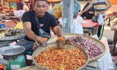 Harga Cabai Rawit di Gorontalo Utara Tembus Rp200 Ribu per Kg